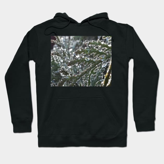 Dew drops Hoodie by robelf